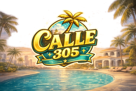 CALLE 305
